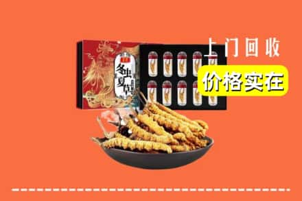 英山县回收冬虫夏草